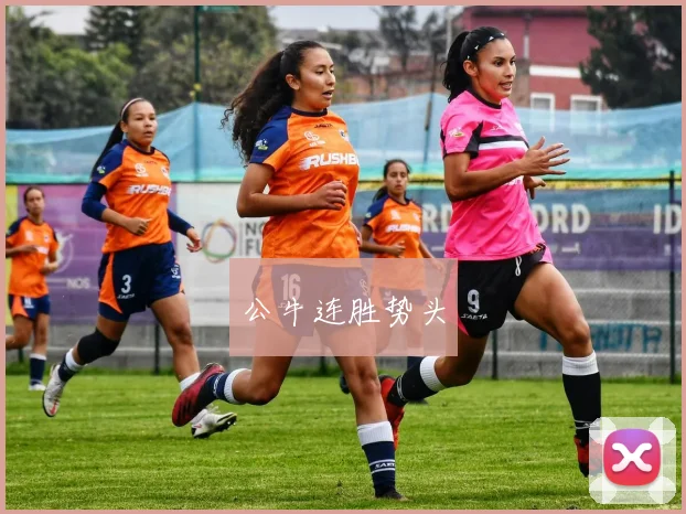 公牛连胜势头
