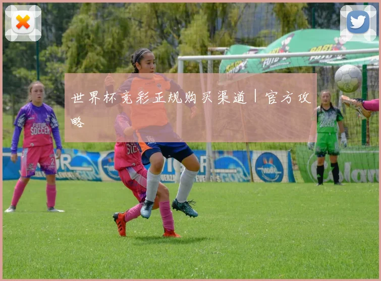 世界杯竞彩正规购买渠道｜官方攻略