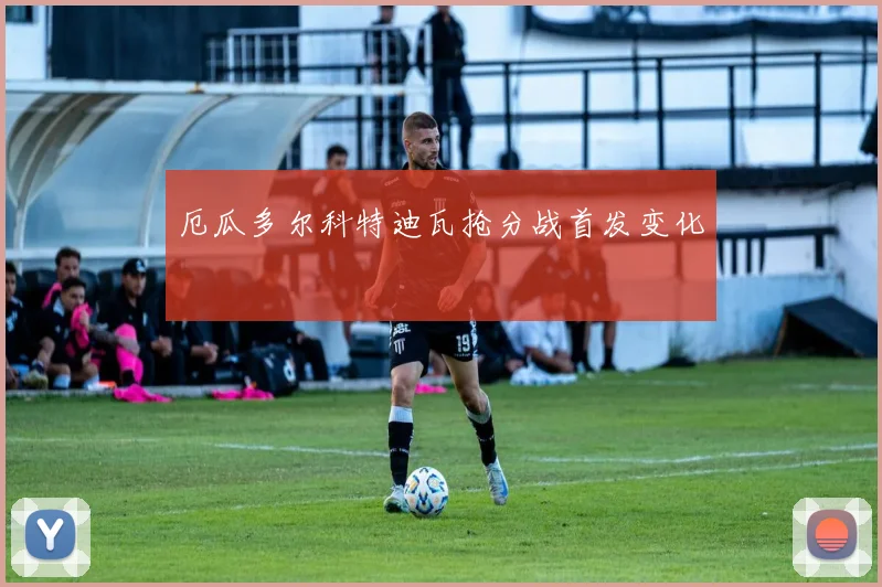 厄瓜多尔科特迪瓦抢分战首发变化