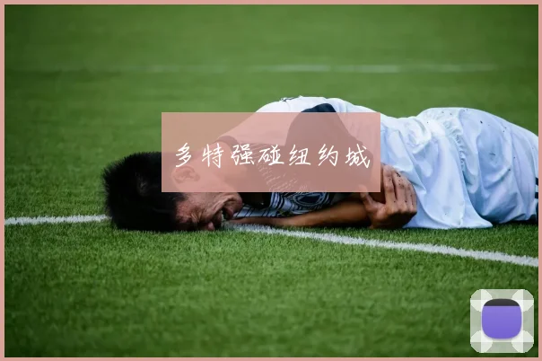 多特强碰纽约城