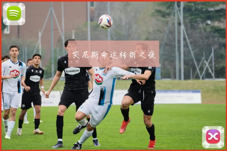 突尼斯命运转折之夜