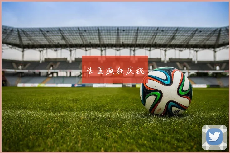 法国疯狂庆祝