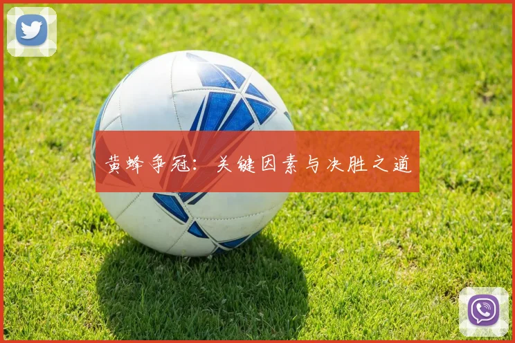 黄蜂争冠：关键因素与决胜之道