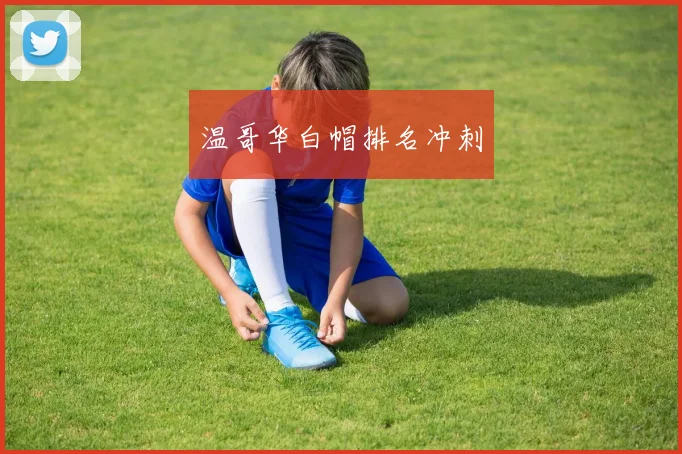 温哥华白帽排名冲刺