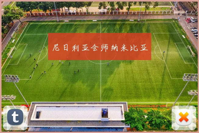 尼日利亚会师纳米比亚