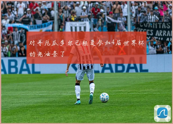 对手厄瓜多尔已经是参加4届世界杯的老油条了