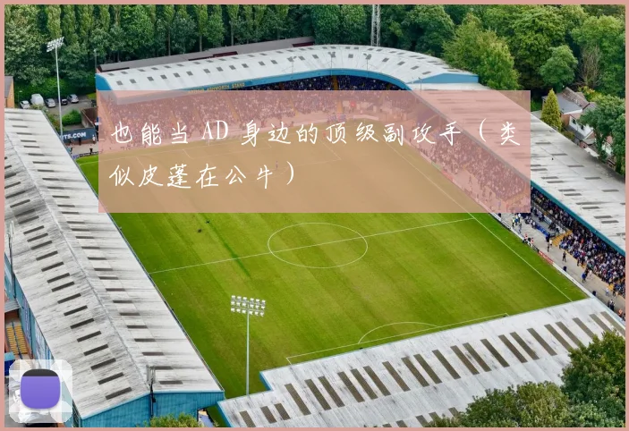 也能当 AD 身边的顶级副攻手（类似皮蓬在公牛）