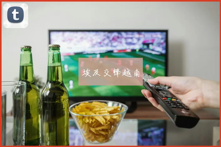 埃及交锋越南