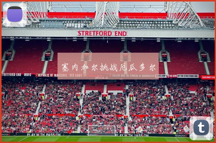 塞内加尔挑战厄瓜多尔