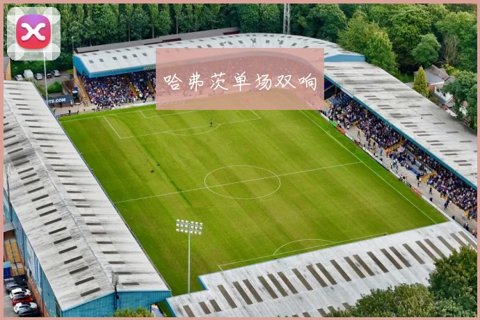 哈弗茨单场双响