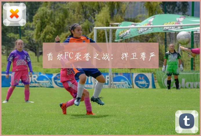 首尔FC荣誉之战：捍卫尊严
