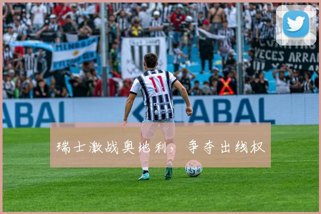 瑞士激战奥地利，争夺出线权