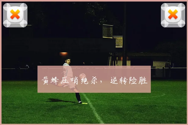 黄蜂压哨绝杀，逆转险胜