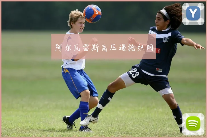 阿尔瓦雷斯高压逼抢织网