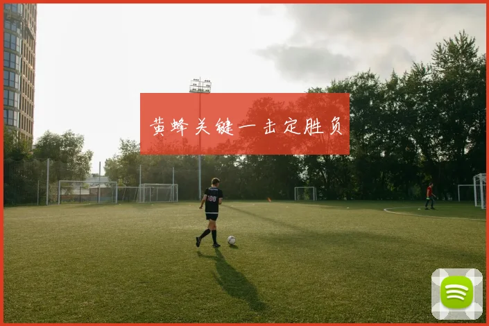 黄蜂关键一击定胜负