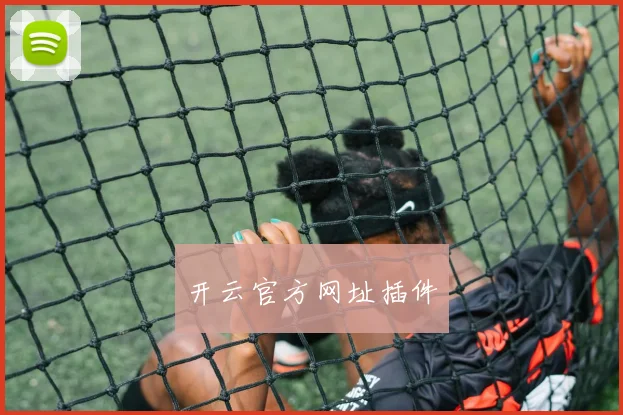 开云官方网址插件