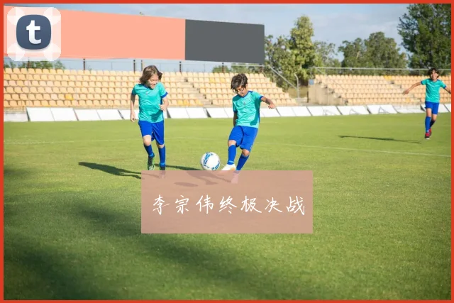 李宗伟终极决战
