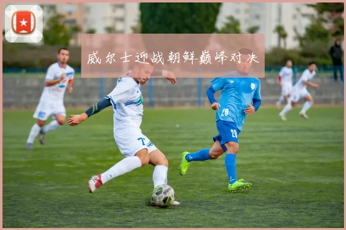 威尔士迎战朝鲜巅峰对决
