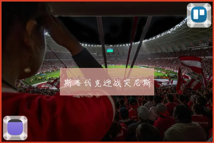 斯洛伐克迎战突尼斯