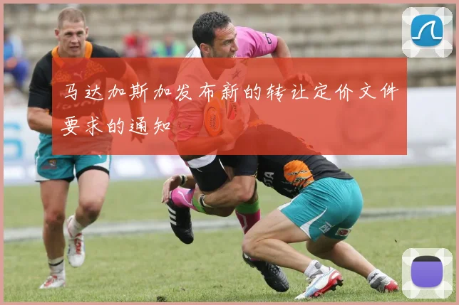 马达加斯加发布新的转让定价文件要求的通知