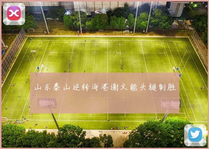 山东泰山逆转海港谢文能头槌制胜