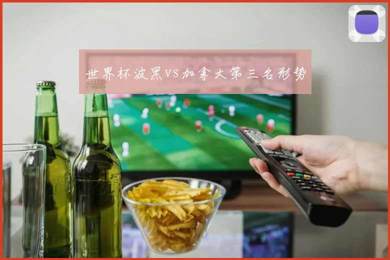 世界杯波黑vs加拿大第三名形势