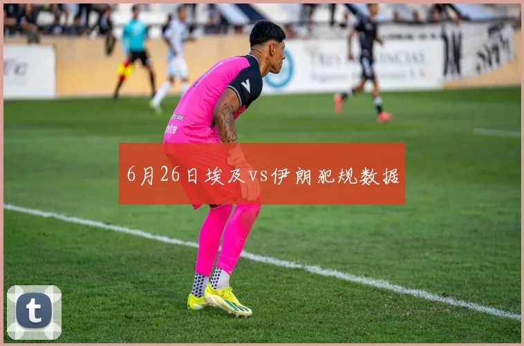 6月26日埃及vs伊朗犯规数据