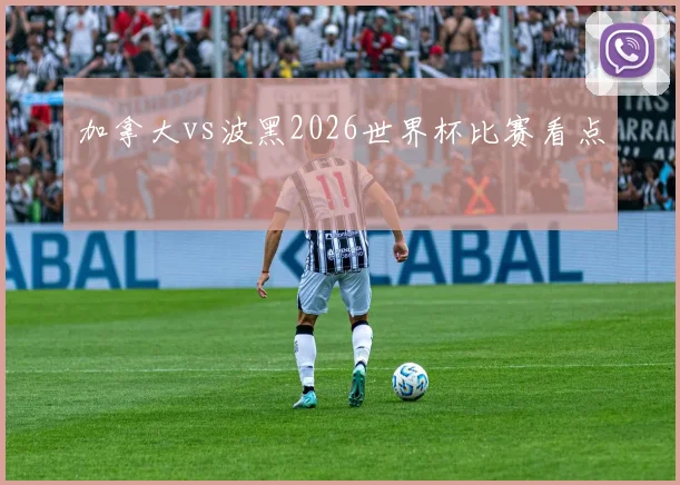 加拿大vs波黑2026世界杯比赛看点