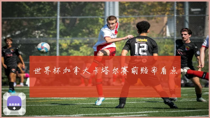 世界杯加拿大卡塔尔赛前赔率看点