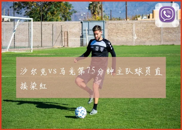 沙尔克vs马竞第75分钟主队球员直接染红