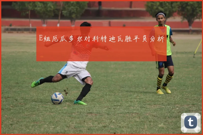 E组厄瓜多尔对科特迪瓦胜平负分析